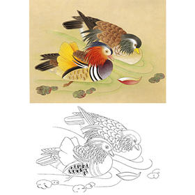 工笔动物白描底稿-鸳鸯-斗方小品册页-A309