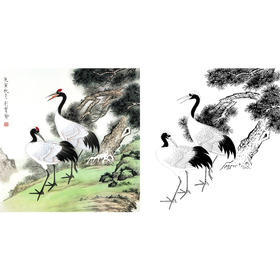 工笔花鸟白描底稿-仙鹤-松鹤-斗方小品册页-A307