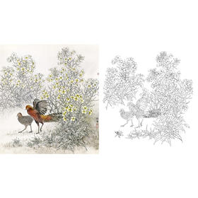 工笔花鸟白描底稿-野鸡-斗方小品册页-A315