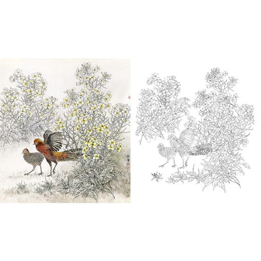 工笔花鸟白描底稿-野鸡-斗方小品册页-A315 商品图0