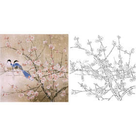 工笔花鸟白描底稿-梅花-斗方小品册页-A265