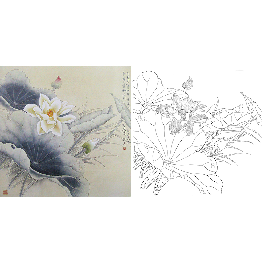 工笔花鸟白描底稿-荷花-斗方小品册页-A268