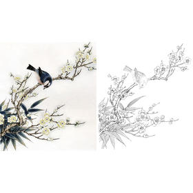 工笔花鸟白描底稿-梅花-斗方小品册页-A296