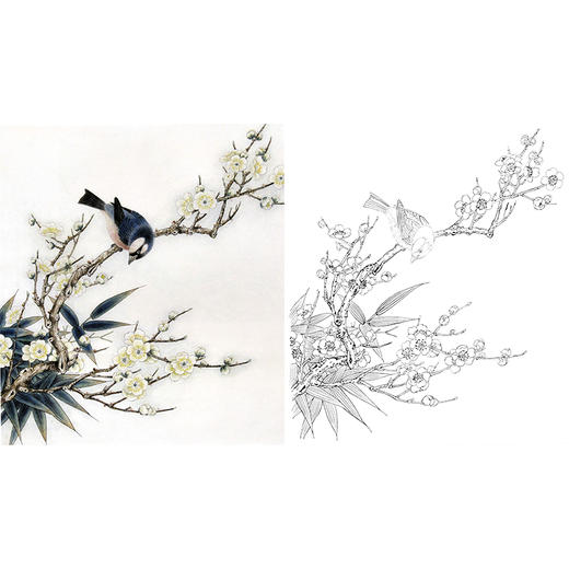 工笔花鸟白描底稿-梅花-斗方小品册页-A296 商品图0