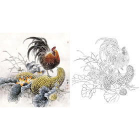 工笔花鸟白描底稿-公鸡-斗方小品册页-A314