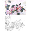 工笔花鸟白描底稿-花卉-斗方小品册页-A235 商品缩略图0