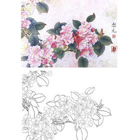 工笔花鸟白描底稿-花卉-斗方小品册页-A235