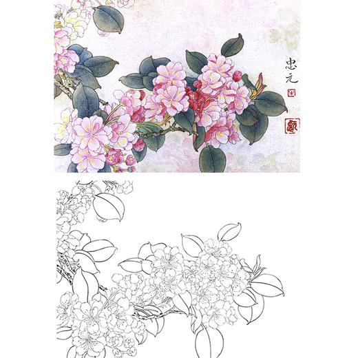 工笔花鸟白描底稿-花卉-斗方小品册页-A235 商品图0
