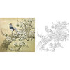 工笔花鸟白描底稿-野鸡-斗方小品册页-A316 商品缩略图0