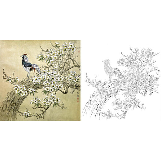 工笔花鸟白描底稿-野鸡-斗方小品册页-A316 商品图0