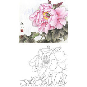工笔花鸟白描底稿-花卉牡丹-斗方小品册页-A232
