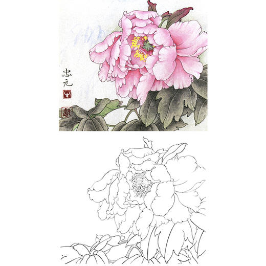 工笔花鸟白描底稿-花卉牡丹-斗方小品册页-A232 商品图0