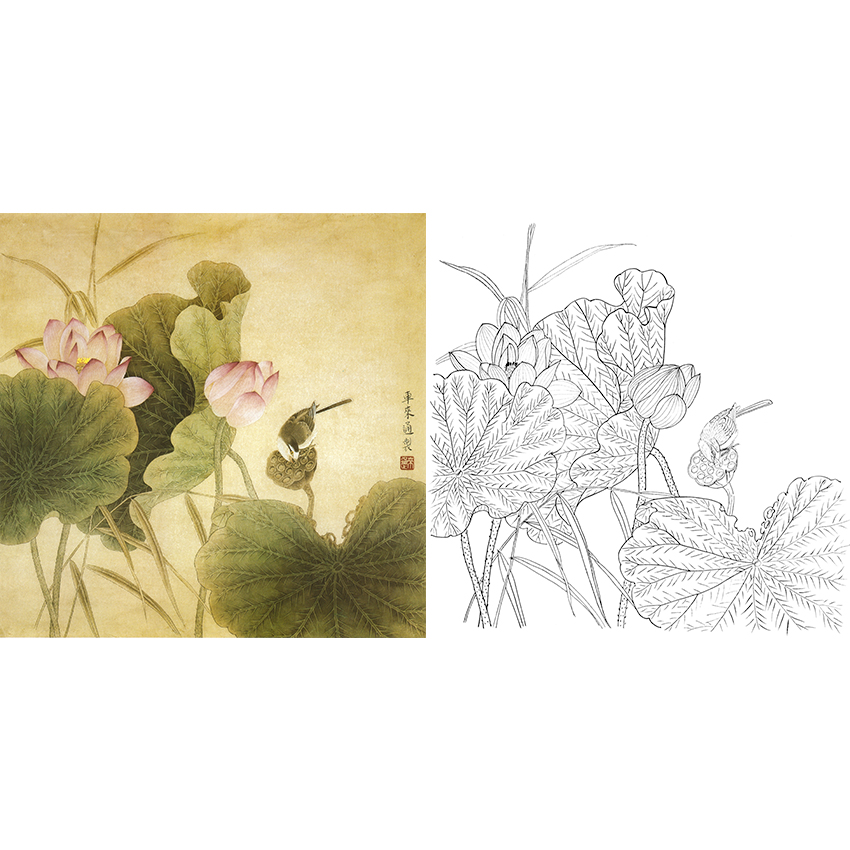 工笔花鸟白描底稿-荷花-斗方小品册页-A276
