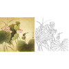工笔花鸟白描底稿-荷花-斗方小品册页-A276 商品缩略图0