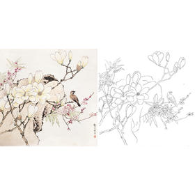 工笔花鸟白描底稿-龚文桢玉兰花-斗方小品册页-A287