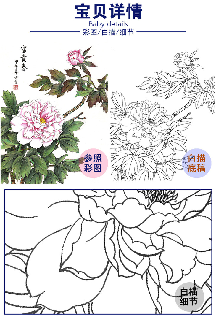 工筆花鳥白描底稿牡丹斗方小品冊頁a300