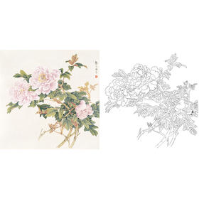 工笔花鸟白描底稿-龚文桢牡丹-斗方小品册页-A288