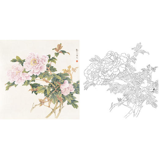 工笔花鸟白描底稿-龚文桢牡丹-斗方小品册页-A288 商品图0