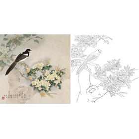 工笔花鸟白描底稿-龚文桢-梨花山禽图-斗方小品册页-A257
