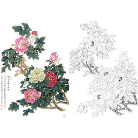 竖幅工笔花鸟白描底稿-花卉-牡丹-A226