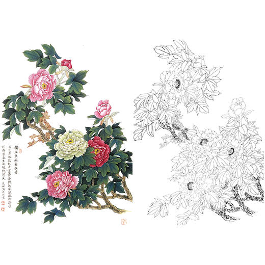 竖幅工笔花鸟白描底稿-花卉-牡丹-A226 商品图0