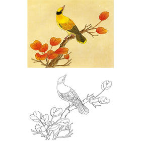 工笔花鸟白描底稿-红叶小鸟-黄鹂-斗方小品册页-A295