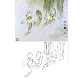 工笔花鸟白描底稿-花卉-斗方小品册页-A219