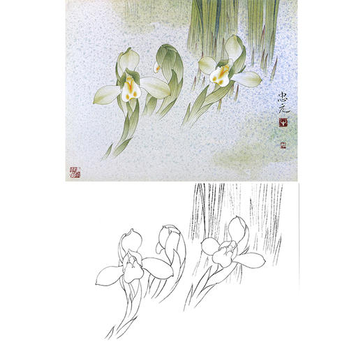工笔花鸟白描底稿-花卉-斗方小品册页-A219 商品图0