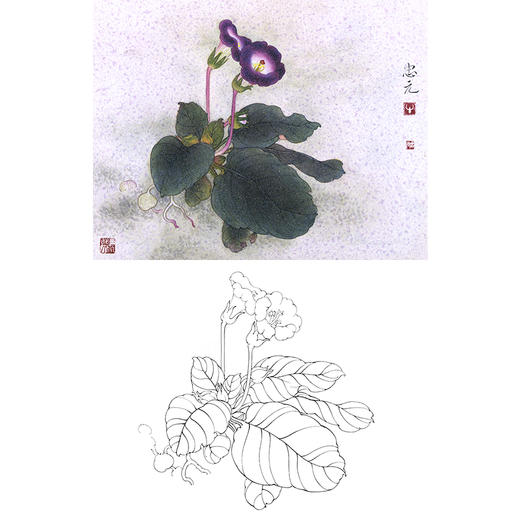 工笔花鸟白描底稿-花卉-斗方小品册页-A236 商品图0