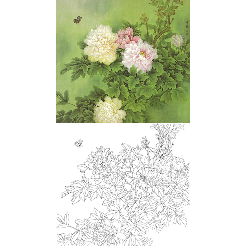周中耀工笔花鸟白描底稿-牡丹《占断韶华》-斗方小品册页-A271