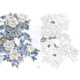 竖幅工笔花鸟白描底稿-牡丹-A233