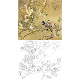 工笔花鸟白描底稿-邹传安-醉春-斗方小品册页-A264