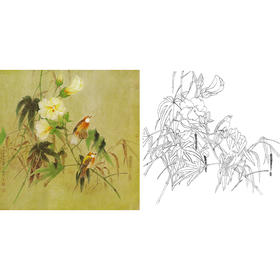 工笔花鸟白描底稿-曹小民-斗方小品册页-A286