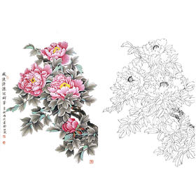 竖幅工笔花鸟白描底稿-花卉-牡丹-A230