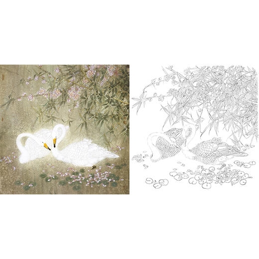 工笔花鸟白描底稿-天鹅-斗方小品册页-A261 商品图0