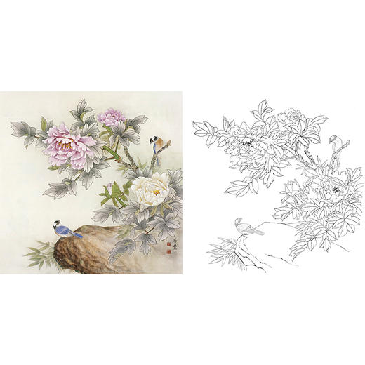 工笔花鸟白描底稿-田希丰牡丹-斗方小品册页-a279 商品图0