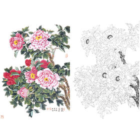 竖幅工笔花鸟白描底稿-花卉-牡丹-A231
