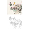 工笔花鸟白描底稿-龚文桢-斗方小品册页-A291 商品缩略图0