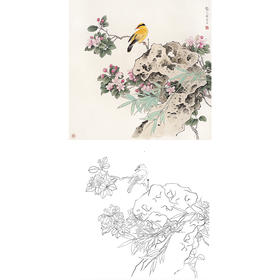 工笔花鸟白描底稿-龚文桢-斗方小品册页-A291