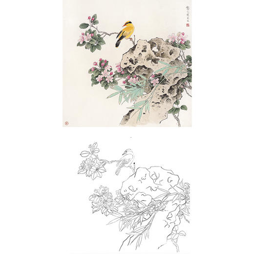 工笔花鸟白描底稿-龚文桢-斗方小品册页-A291 商品图0