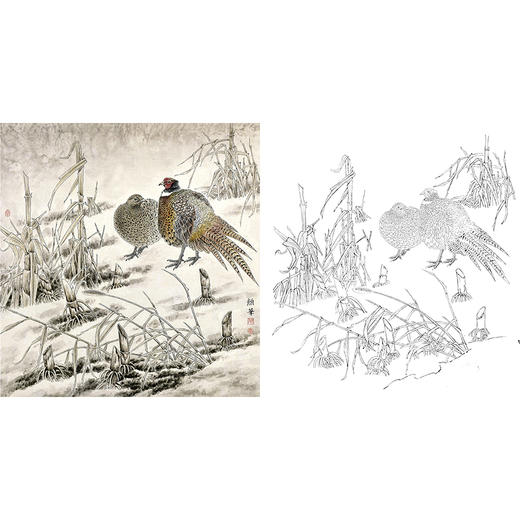 工笔花鸟白描底稿-野鸡-斗方小品册页-A318 商品图0