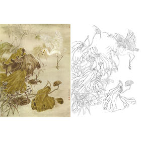 工笔花鸟白描底稿-曹小民-荷花白鹭-斗方小品册页-A215