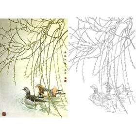 竖幅工笔花鸟白描底稿-鸳鸯-A311