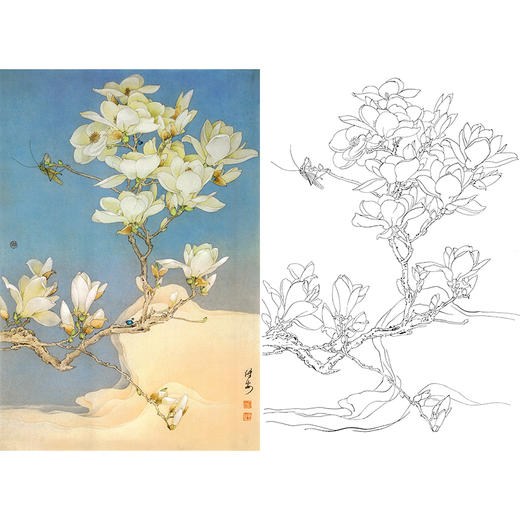 竖幅工笔花鸟白描底稿-邹传安-玉兰花-A218 商品图0