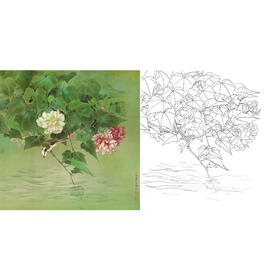工笔花鸟白描底稿-曹小民-芙蓉花-斗方小品册页-A259