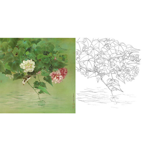 工笔花鸟白描底稿-曹小民-芙蓉花-斗方小品册页-A259 商品图0