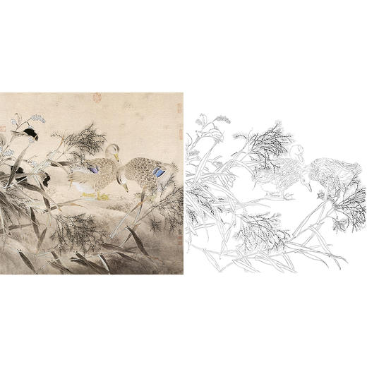 工笔花鸟白描底稿-鸭子-斗方小品册页-A467 商品图0