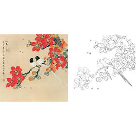 工笔花鸟白描底稿-喻继高-木棉花-斗方小品册页-A495