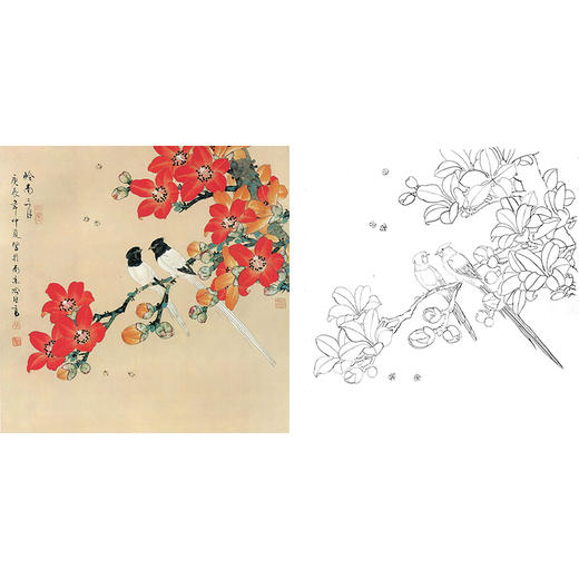 工笔花鸟白描底稿-喻继高-木棉花-斗方小品册页-A495 商品图0