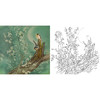 工笔花鸟白描底稿-曹小民-斗方小品册页-A475 商品缩略图0